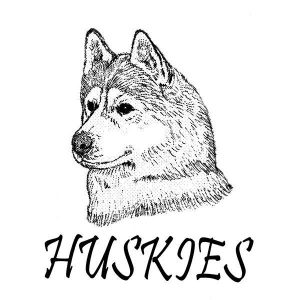 Huskies Mascot with Letters