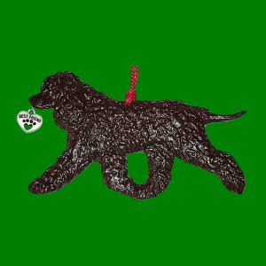 Irish Water Spaniel