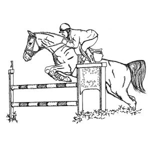 Jumper Hunter Horse1