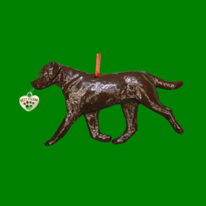 Labrador Retriever Chocolate
