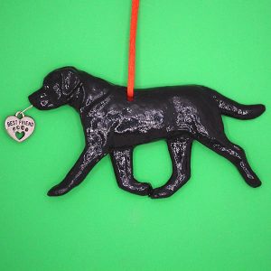 Labrador Retriever Black