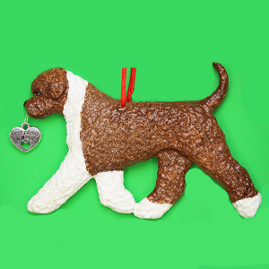 Lagotto Romagnolo