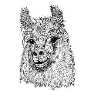Llama1