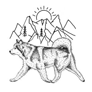 Malamute Alaskan3