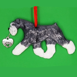 Miniature Schnauzer