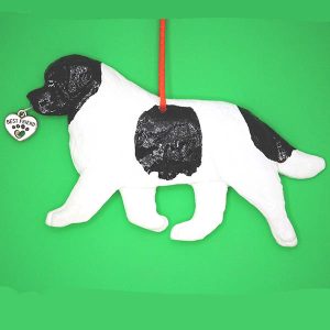 Newfoundland Landseer Bl and Wh