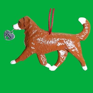 Nova Scotia Duck Tolling Retriever
