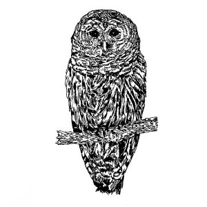 Owl Barn