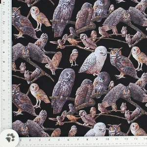 Owls Galore Print Fabric - (34)