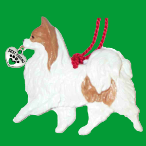 Papillon-Red-and-White