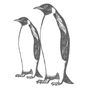 Penguins