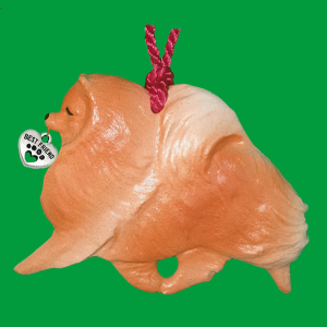Pomeranian-Orange