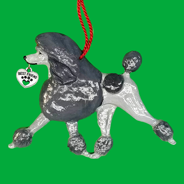 Poodle Standard Silver