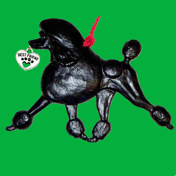 Poodle Standard black
