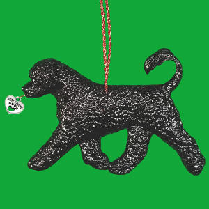 Portuguese Water Dog Retriever Clip