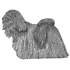 Puli1