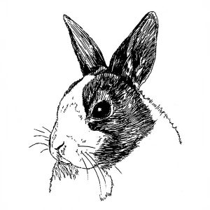 Rabbit Dutch