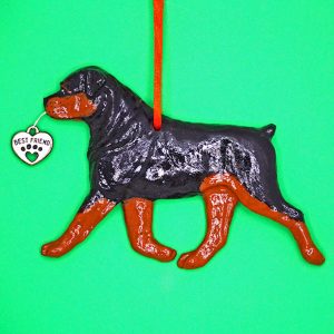 Rottweiler