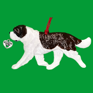 Saint Bernard