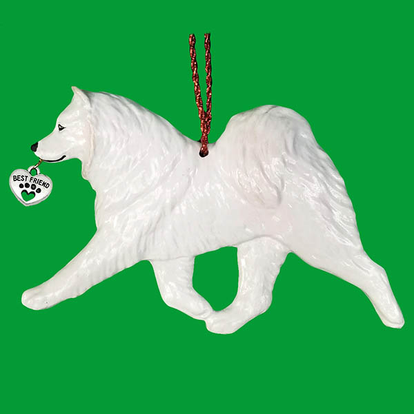 Samoyed