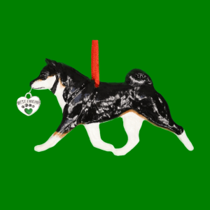 Shiba Inu