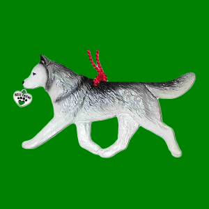 Siberian Husky
