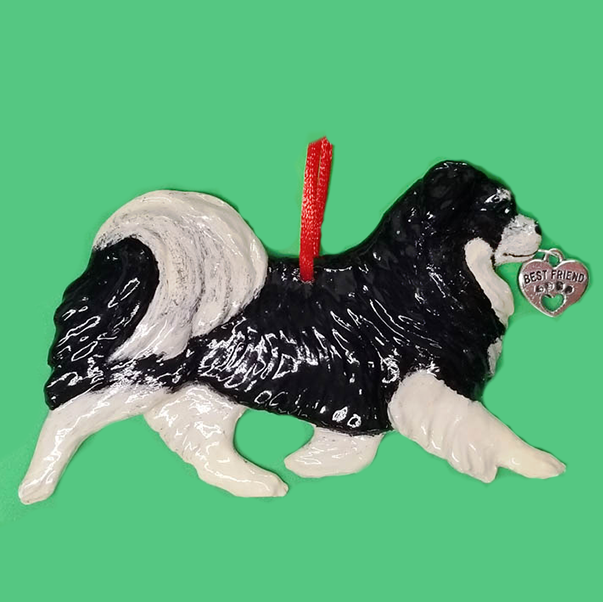 Tibetan Spaniel Black and Tan