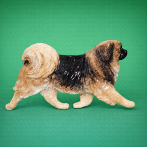 Tibetan Spaniel Dark Sable