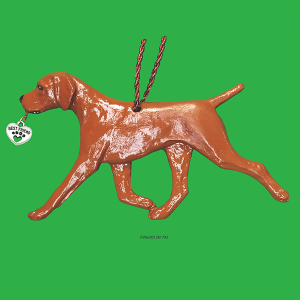 Vizsla