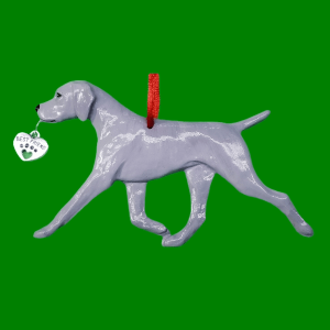 Weimaraner