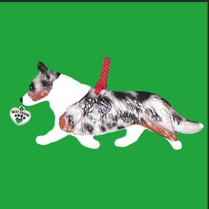 Welsh Cardigan Corgi Blue Merle