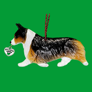 Welsh Pembroke Corgi Sable