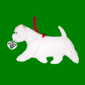 Westie