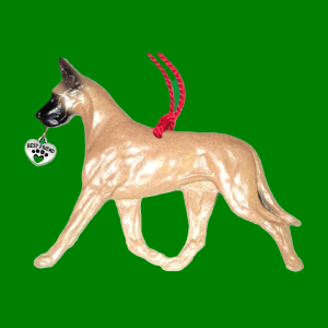 Great Dane Fawn Light