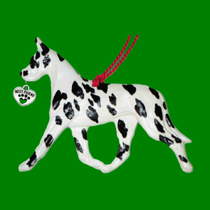 Great Dane Harlequin