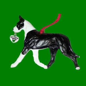Great Dane Tuxedo