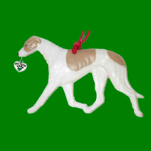 Greyhound Fawn