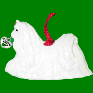 Maltese