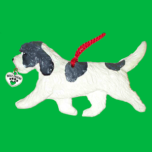 Petite Basset Griffon Vendeen