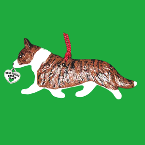 Welsh Cardigan Corgi Brindle