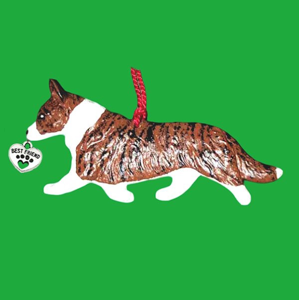 Welsh Cardigan Corgi Brindle