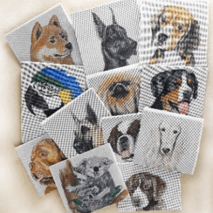 Needlepoint Canvas Kits
