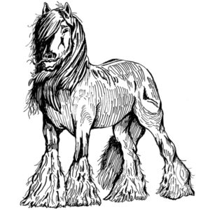 Gypsy Vanner Horse standing facing left to be printed on any color cotton fabric or readymade items