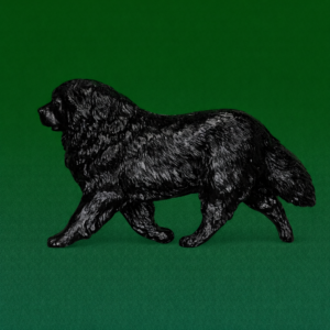 Hand-painted break-resistant acrylic resin dog magnet featuring a full-body Chow-Chow-Black in a gaiting pose, designed to attach to metal surfaces.