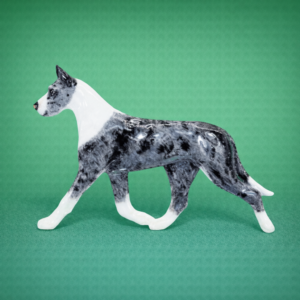 Great Dane Blue Merle