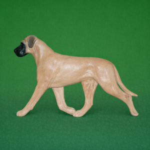 Great Dane Fawn3
