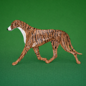 Greyhound Brindle