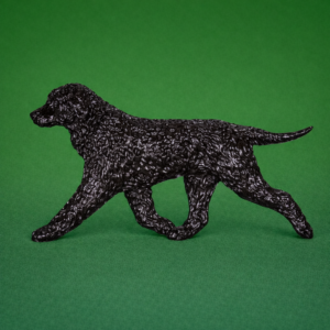 Irish Water Spaniel