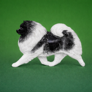 Keeshond