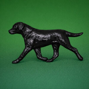 Labrador Retriever Black